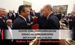 Özgür Özel- Cumhurbaşkanı Erdoğan görüşmesinin detayları belli oldu! ‘Sadece Anayasa konuşulmayacak…’