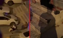 Adana'da pitbull dehşeti! Sahibini ve 2 kişiyi yaraladı