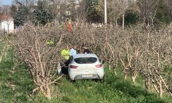 Kaza yapan otomobil elma bahçesine uçtu