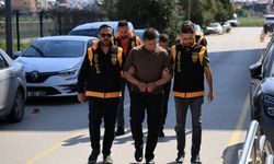 Adana'da "Rottweiler" dehşeti yaşandı