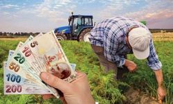 445 milyon lira destek ödemesi çiftçilerin hesaplarına aktarılacak