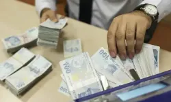 Türkiye'nin en yüksek vergi ödeyenleri Ağustos'ta belli olacak