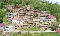 Fotoğraf sevdalıları Bitlis'teki taş evleri görüntüledi