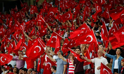 Dünyada Türklerin en çok bulunduğu ülkeler hangileri?