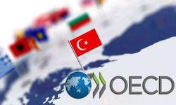 OECD'den Türkiye tahmini