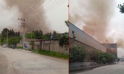Payas halkı zehir soluyor! Erol Evcil'in fabrikasından çıkan duman ilçeyi kapladı