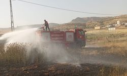 Mardin’in Ömerli ilçesinde ormanlık alanda çıkan yangın söndürüldü