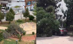 Adana’da kuvvetli rüzgar ağaçları kökünden söktü, çatıları uçurdu