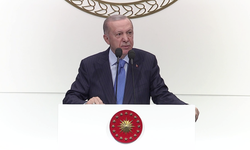 Cumhurbaşkanı Erdoğan: "Basını Roma turu yaptırmanın hiçbir haklı gerekçesi olamaz"