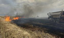 Şırnak'ta çıkan yangınlarda 360 dönüm ekili arazi zarar gördü