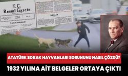 Atatürk sokak hayvanları sorununu nasıl çözdü?