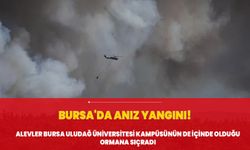 Bursa'da anız yangını! Alevler Bursa Uludağ Üniversitesi kampüsünün de içinde olduğu ormana sıçradı