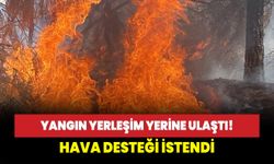 Denizli'de yangın yerleşim yerine ulaştı! Hava desteği istendi!