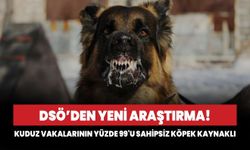 DSÖ: Kuduz vakalarının yüzde 99'u sahipsiz köpek kaynaklı