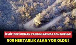 İzmir’deki orman yangını kontrol altına alındı!