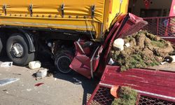 Kamyonet sürücüsü dehşet saçtı: 2 ölü