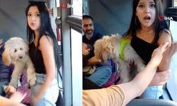 Genç kız otobüse köpeği ile bindi tepki gösteren yolcularla tartıştı