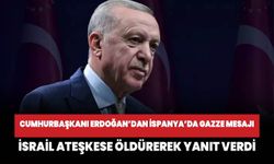 Cumhurbaşkanı Erdoğan Türkiye-İspanya İş Forumu'nda konuştu: İsrail ateşkese öldürerek yanıt verdi