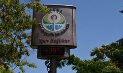 Doğu Akdeniz'deki bunaltıcı sıcaklar hayatı olumsuz etkiliyor
