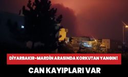Diyarbakır ve Mardin arasında anız yangını: 5 ölü, 44 yaralı