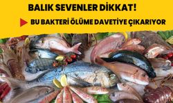 Balık sevenler dikkat! Ölümcül bakteri bulundu, o ürünler toplatılıyor.