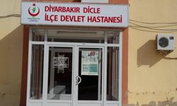 Diyarbakır’da başıboş köpek kadına saldırdı