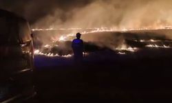 Şanlıurfa'daki anız yangınına Jandarma'dan destek!