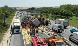 TEM Otoyolu'nda feci kaza! Trafik durma noktasında