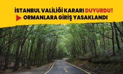 İstanbul'da ormanlara giriş yasaklandı