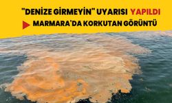 "Denize girmeyin" uyarısı yapıldı! Marmara'da korkutan görüntü