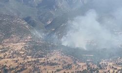 GSB, PKK'lı teröristlerin orman yaktığını duyurdu