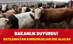 Bakanlık duyurdu! Satılamayan kurbanlıkları ESK alacak