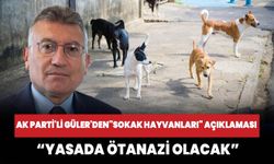 AK Parti'li Güler'den "sokak hayvanları" açıklaması: Yasada ötanazi olacak