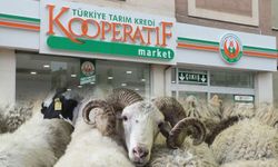 Tarım Kredi Kooperatif Marketlerinde kaçırılmayacak Kurban Bayramı indirimleri! 9-23 Haziran TKK kataloğu!