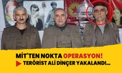 Kırmızı bültenle aranan terörist Ali Dinçer etkisiz hale getirildi