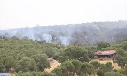 Balıkesir'de çıkan orman yangınına ekiplerin müdahalesi devam ediliyor