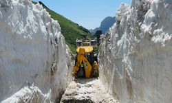 Şırnak'ta yaylalarda yol açma çalışmaları devam ediyor