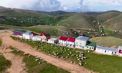 Yayla evi değil resmen yayla apartmanı