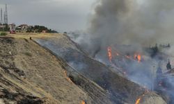 Denizli'deki orman yangınına ekiplerin havadan ve karadan müdahalesi sürüyor