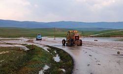 Van'ın Başkale ilçesinde tarım arazileri sel suları altında kaldı