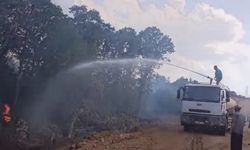 Türkiye-Bulgaristan sınırında çıkan yangın ekiplerce söndürüldü