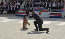 Jandarma'nın 185. yılı etkinliklerinde Sandık ve Ritim isimli köpeklerin muhteşem şovu