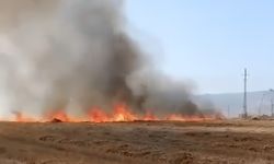 Mardin'de korkutan yangın çıktı