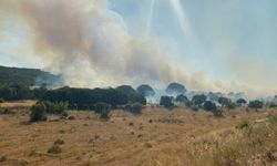 Çanakkale'de alevlerin etrafını sardığı  köy boşaltıldı