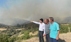 Bursa'daki orman yangınına havadan ve karadan müdahale sürüyor