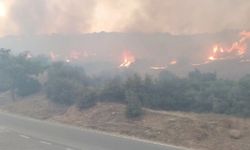 Kahramanmaraş'ta iki ayrı alanda örtü yangını çıktı