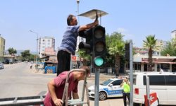 Polisimiz kalpleri fethetti! Trafik ışıklarına yuva yapan kumrulara gölgelik yaptılar