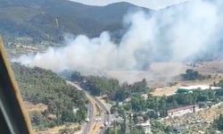 İzmir'in Kemalpaşa ilçesinde orman yangını