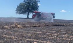 Balıkesir'de tarla yangını: 35 ton buğday cayır cayır yandı