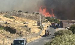 Ayvacık'ta makilikte çıkan yangın antik kente sıçradı